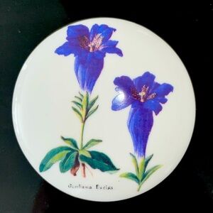 Mrs Forster Collection Trinket box